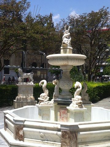 11705296_990421757634894_821014567741283342_n